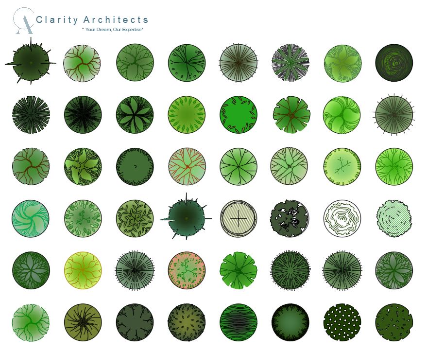 2D Trees Plan Blocks DWG – Free AutoCAD Tree Library (Top View)
