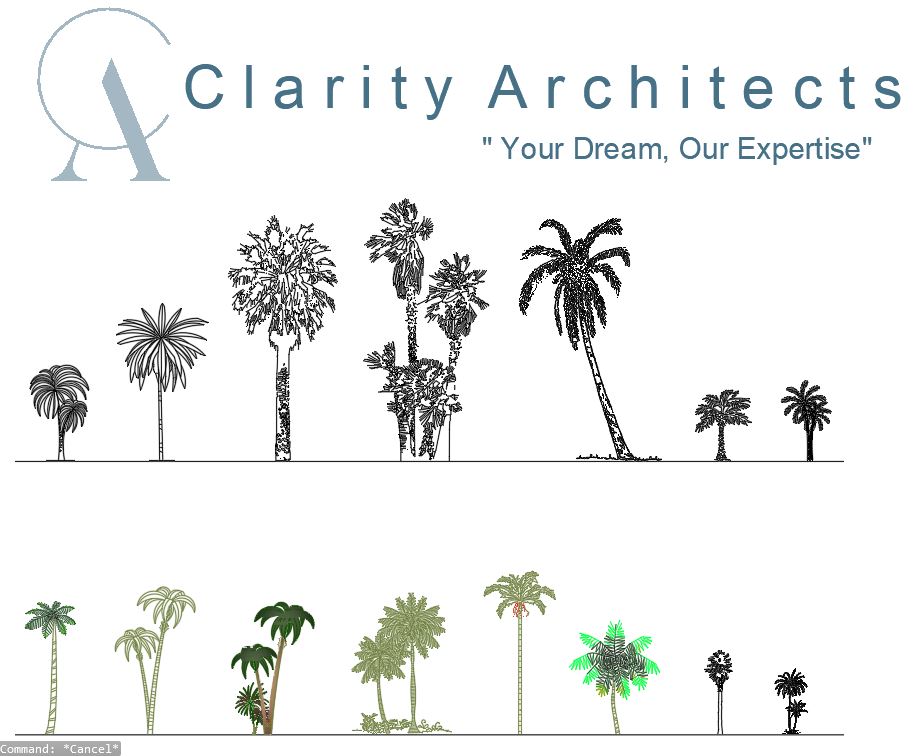 Free Palm Trees CAD Blocks – DWG (Big & Small Palm Trees)