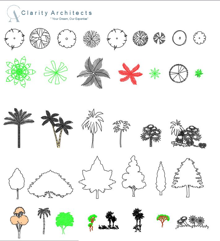 Trees Plan & Elevation CAD Blocks DWG Free Download