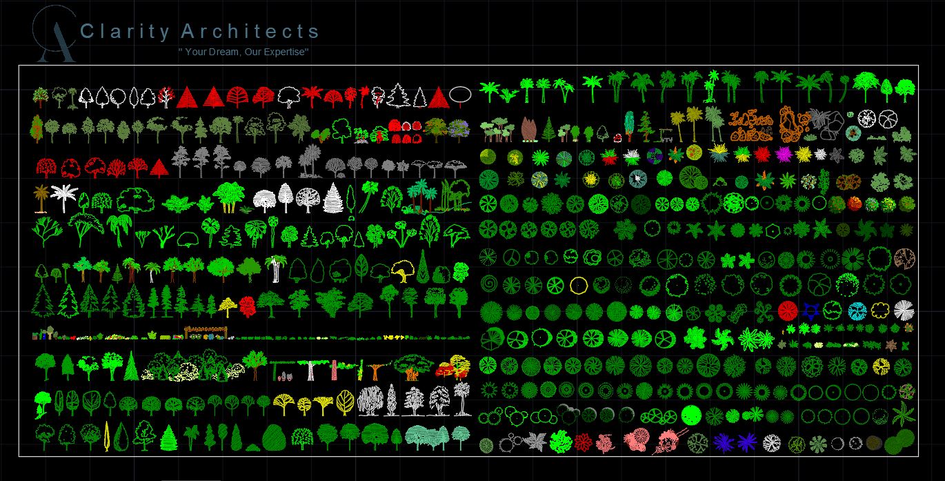 Trees and Plant CAD Block – Free DWG AutoCAD Library 