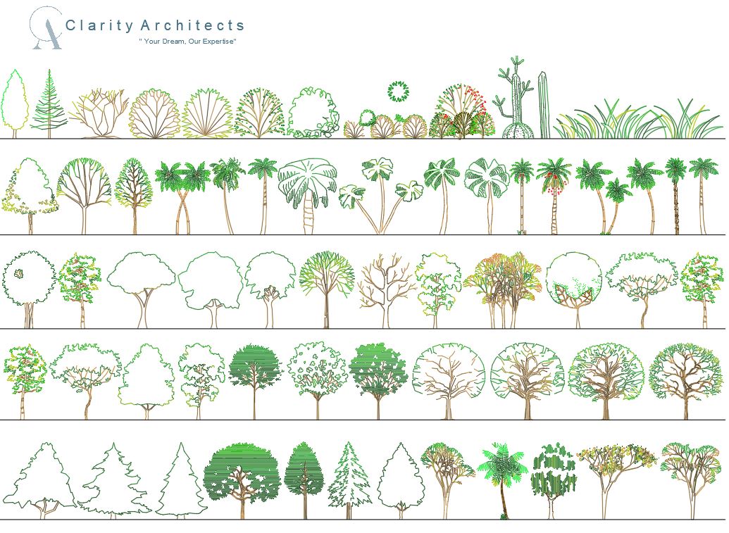 Trees Side View Free CAD Blocks DWG Download