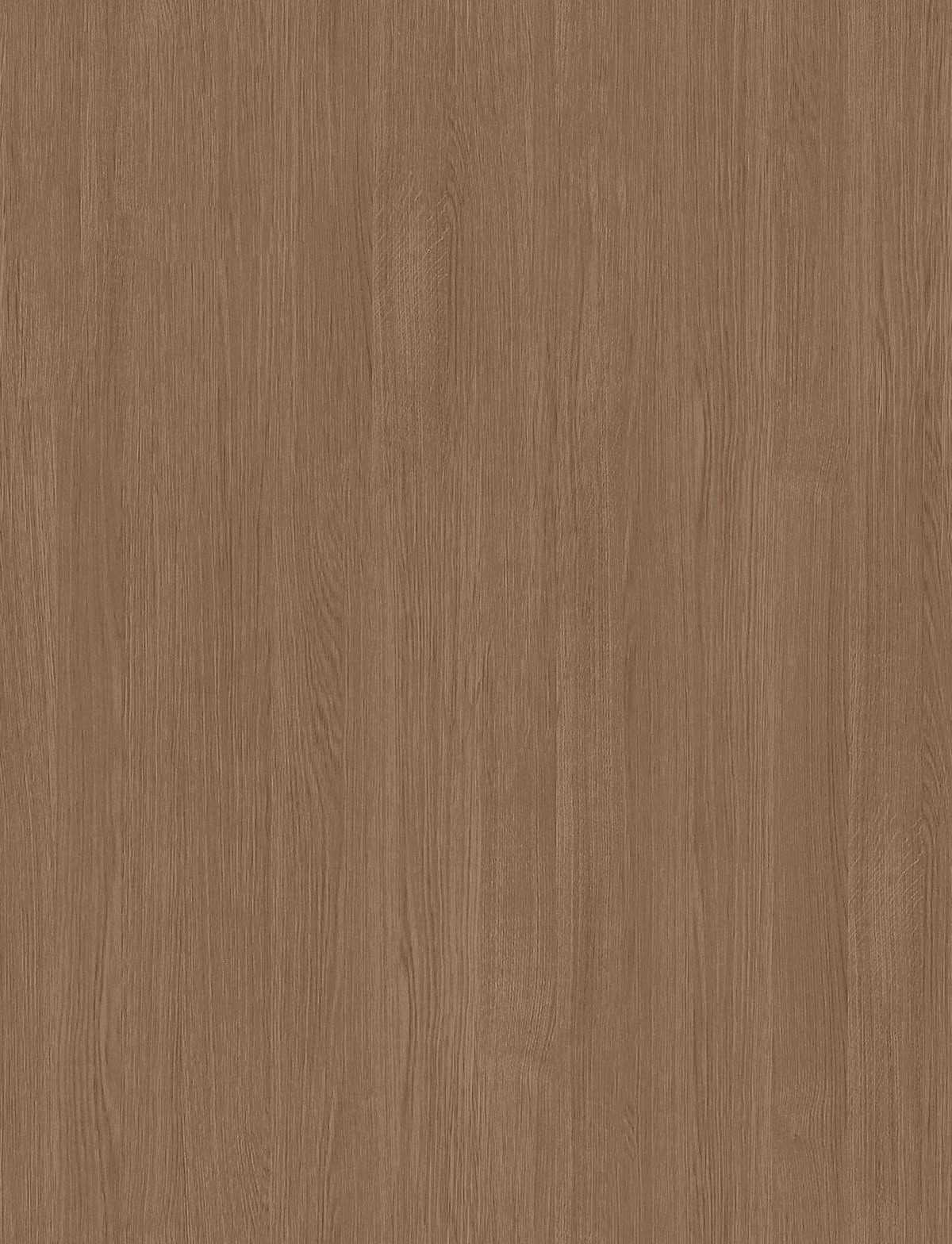Premium Wooden Texture Collection – High-Resolution Natural Wood Surface Textures for Architecture & Interior Design